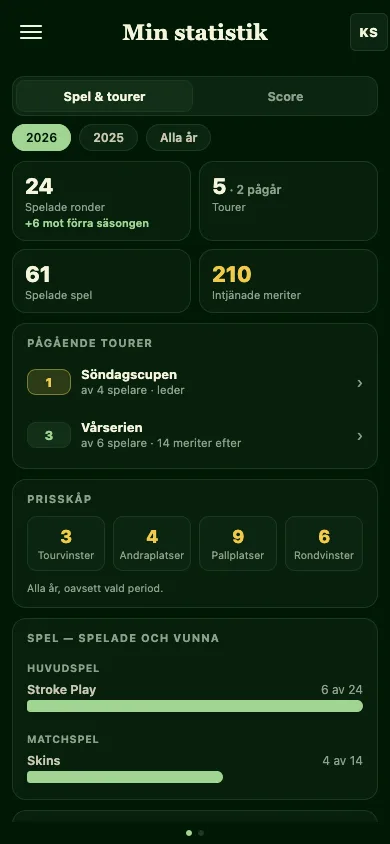 Skärmbild av Goffy-appens statistikvy